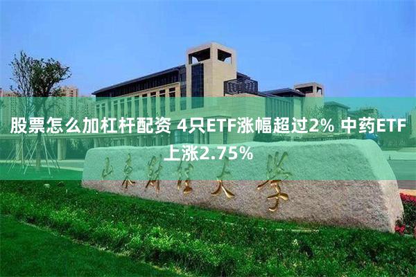 股票怎么加杠杆配资 4只ETF涨幅超过2% 中药ETF上涨2.75%