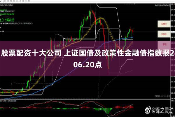 股票配资十大公司 上证国债及政策性金融债指数报206.20点