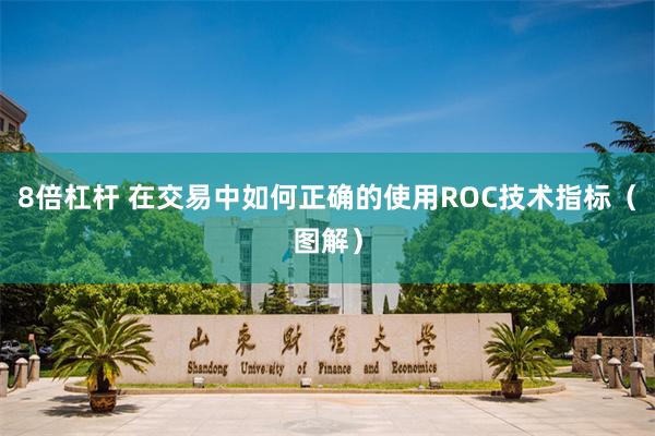 8倍杠杆 在交易中如何正确的使用ROC技术指标（图解）